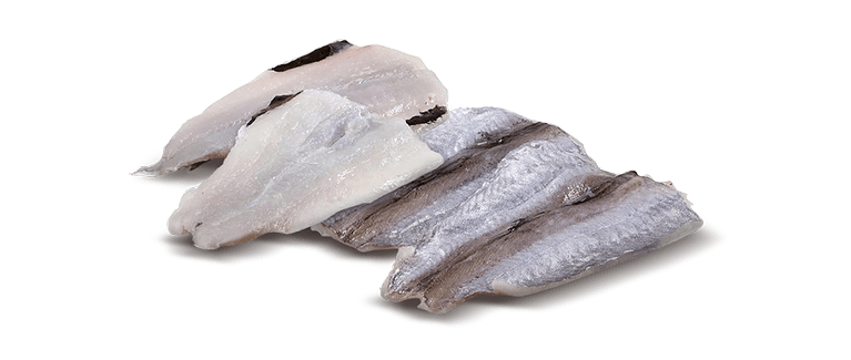 Micromesistius poutassou
