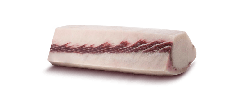 Xiphias Gladius