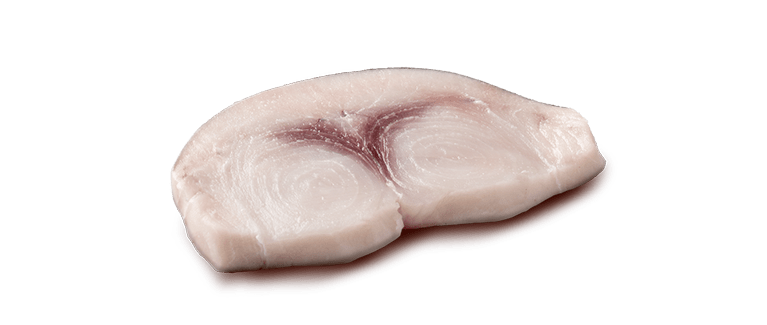 Xiphias Gladius