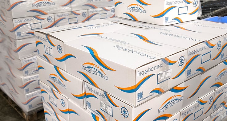 Servicios: Packaging